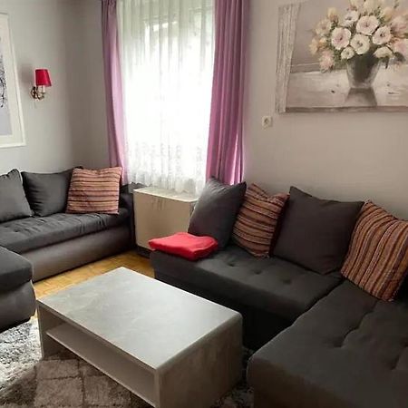 Spacious 2 Bedroom Apartment Zell-Am-See Town Center زيل أم سي المظهر الخارجي الصورة